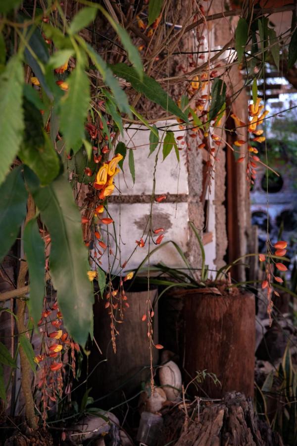 Y.O Inn Kon Tum Экстерьер фото